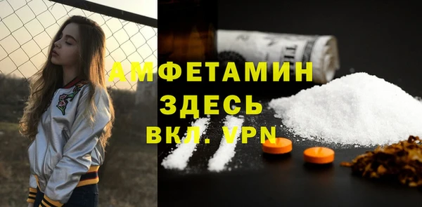 ГАЛЛЮЦИНОГЕННЫЕ ГРИБЫ Ельня