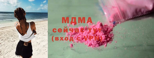 ГАЛЛЮЦИНОГЕННЫЕ ГРИБЫ Ельня
