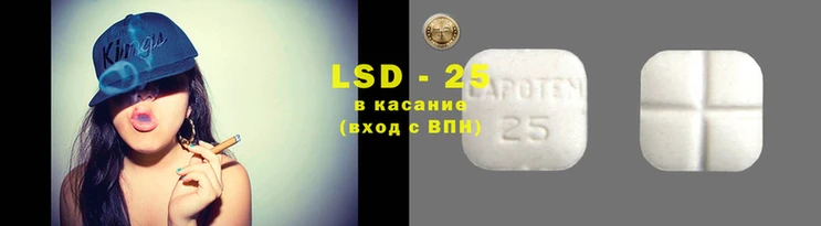 ГАЛЛЮЦИНОГЕННЫЕ ГРИБЫ Ельня