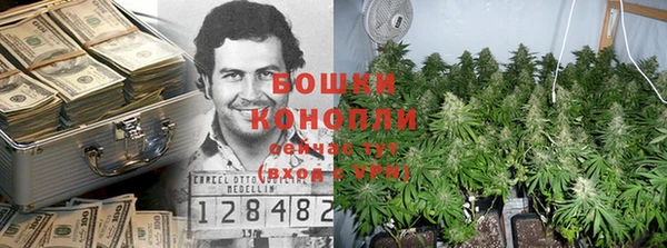 ГАЛЛЮЦИНОГЕННЫЕ ГРИБЫ Ельня