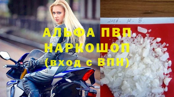 молекула духа Елизово