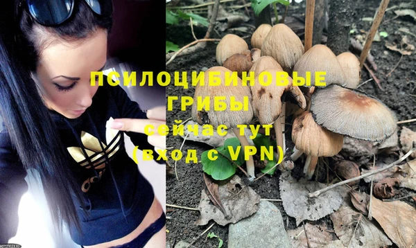 молекула духа Елизово