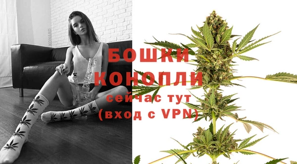 молекула духа Елизово