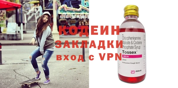 ГАЛЛЮЦИНОГЕННЫЕ ГРИБЫ Ельня