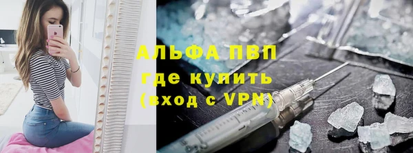 ГАЛЛЮЦИНОГЕННЫЕ ГРИБЫ Ельня