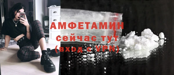 ГАЛЛЮЦИНОГЕННЫЕ ГРИБЫ Ельня