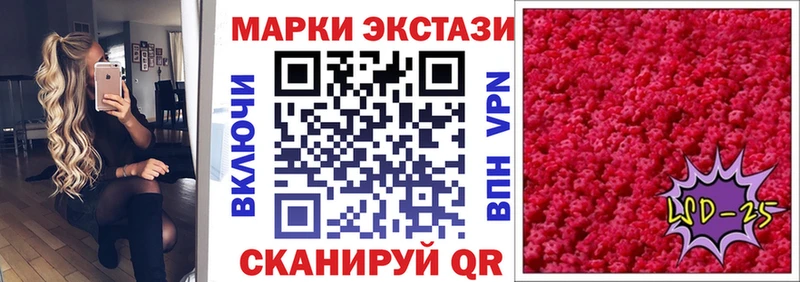 даркнет сайт  Каменногорск  Марки 25I-NBOMe 1,8мг 