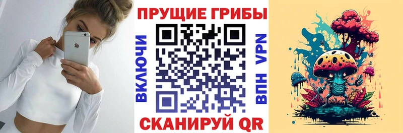 Псилоцибиновые грибы MAGIC MUSHROOMS  darknet Telegram  Каменногорск 