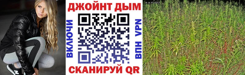 Каннабис SATIVA & INDICA Каменногорск
